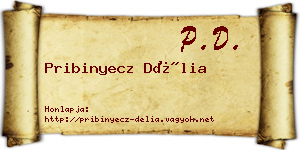 Pribinyecz Délia névjegykártya